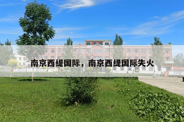 南京西缇国际，南京西缇国际失火